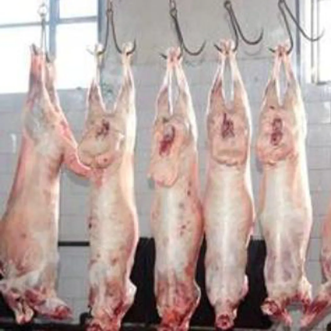 mutton
